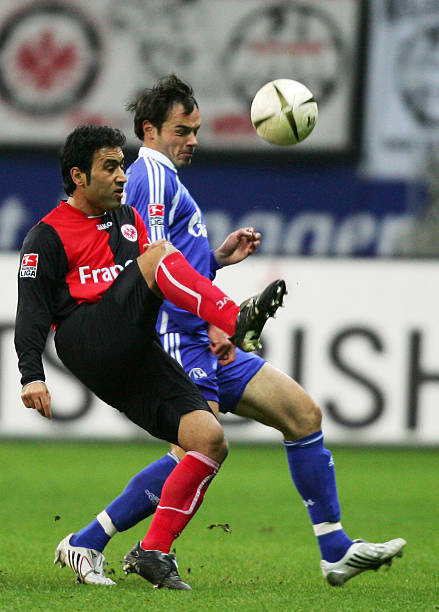 这不仅是特 这不仅是特